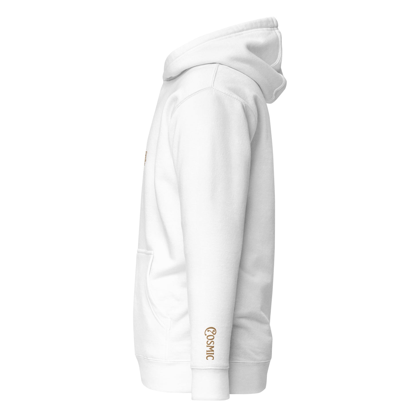 Aquarius Badge Unisex Hoodie (Embroidered)