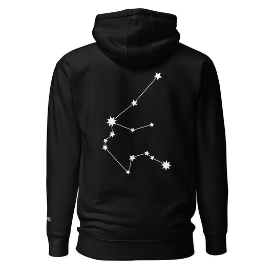 Aquarius Constellation Hoodie (Embroidered Aquarius icon front) Hoodie