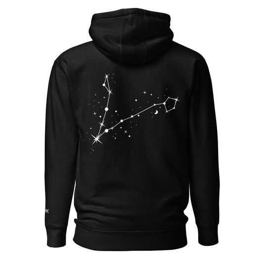 Pisces Constellation Hoodie (Embroidered Pisces icon front) Hoodie