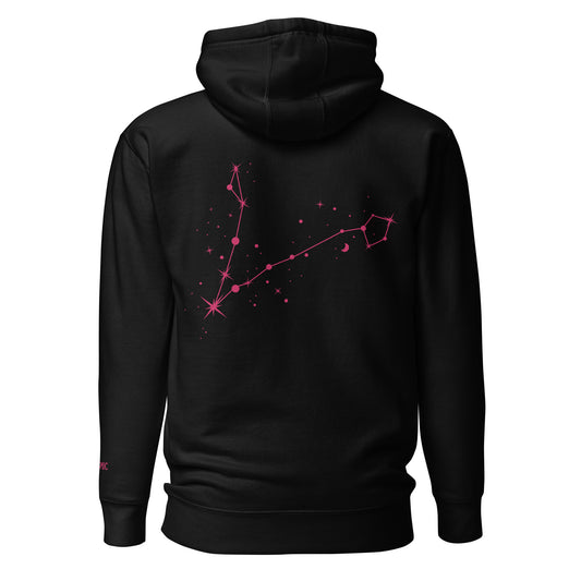 *Pink* Pisces Constellation Hoodie (Embroidered Pisces icon front) Hoodie