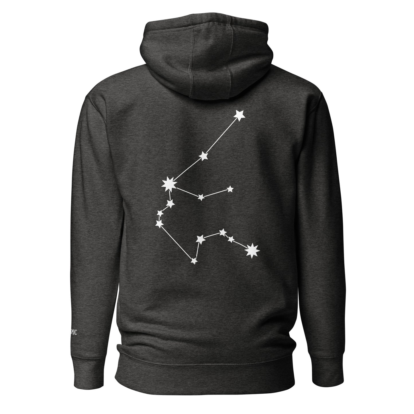 Aquarius Constellation Hoodie (Embroidered Aquarius icon front) Hoodie