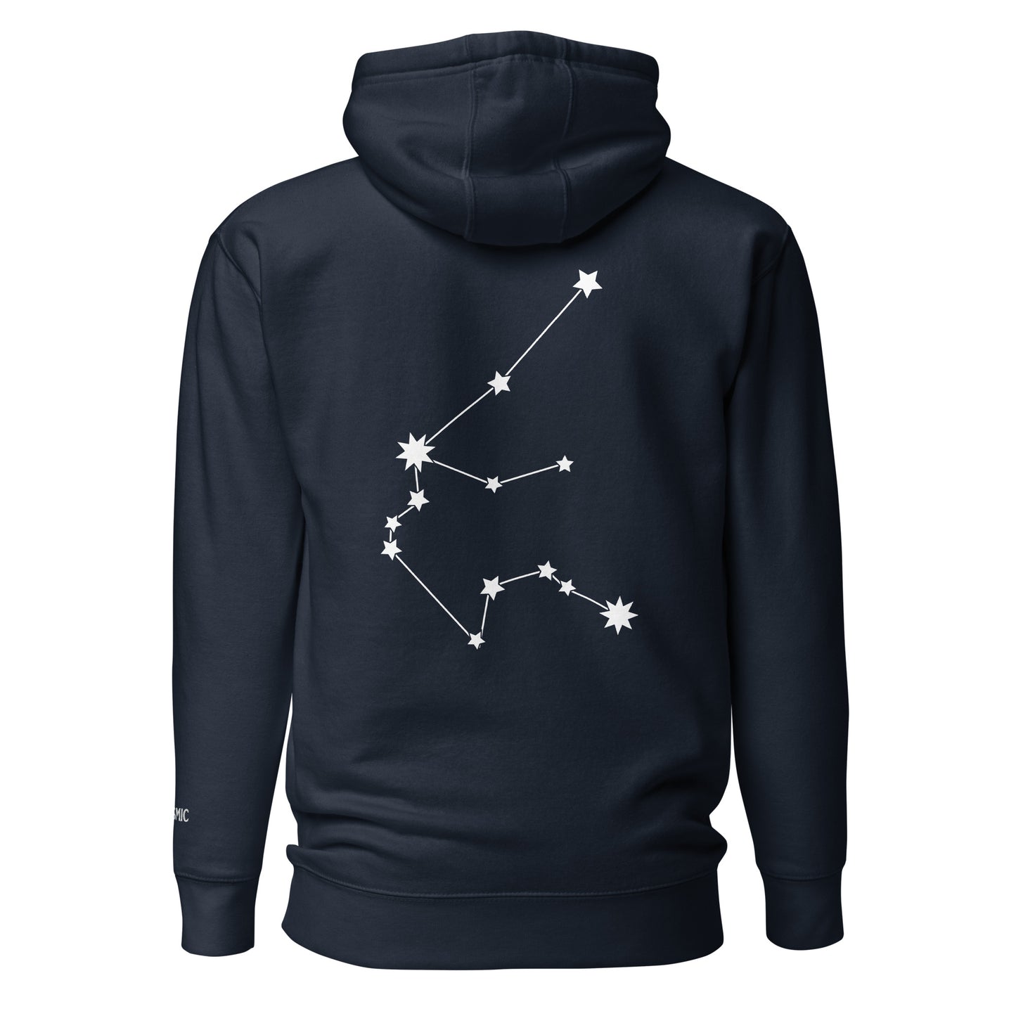 Aquarius Constellation Hoodie (Embroidered Aquarius icon front) Hoodie